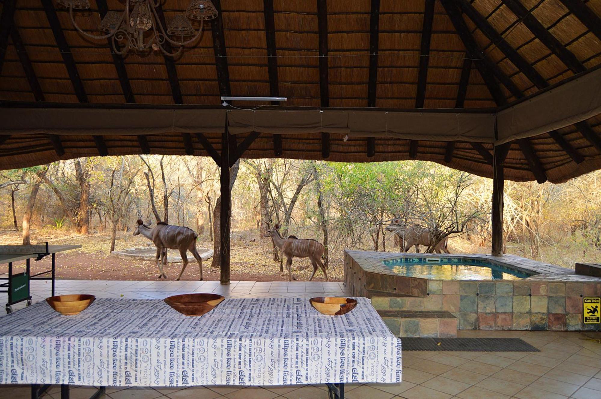 Elijara Kruger * Marloth Park