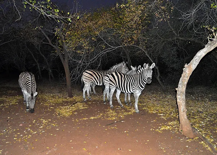 Elijara Kruger Lodge