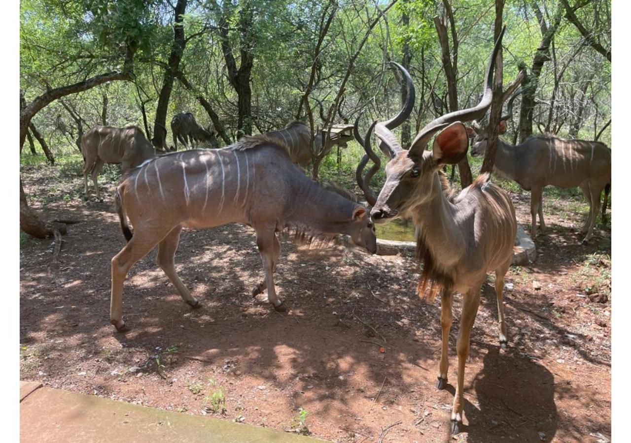 Elijara Kruger * Marloth Park