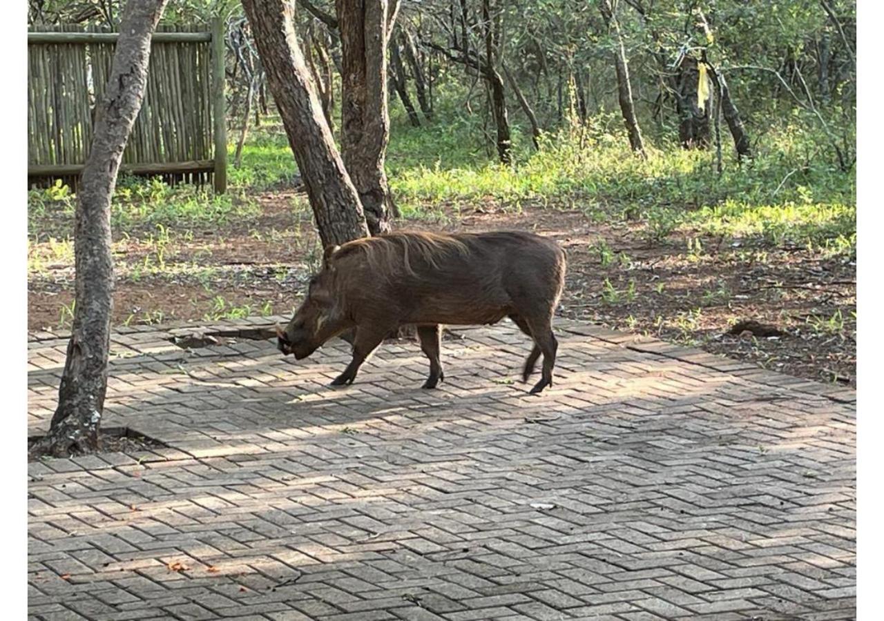 Ferienhaus Elijara Kruger *